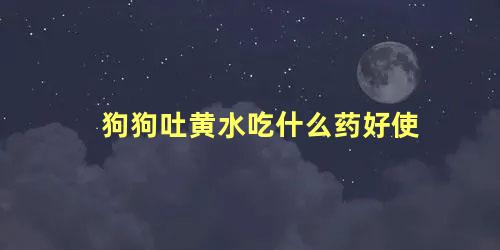 狗狗吐黄水吃什么药好使