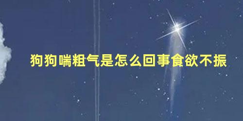 狗狗喘粗气是怎么回事食欲不振