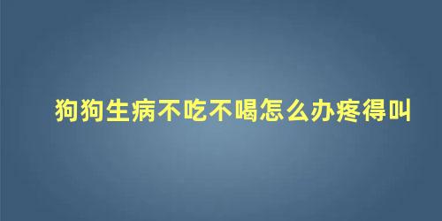 狗狗生病不吃不喝怎么办疼得叫