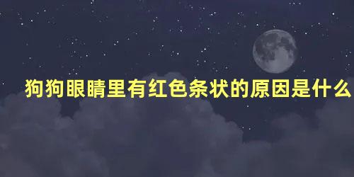 狗狗眼睛里有红色条状的原因是什么