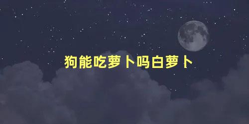 狗能吃萝卜吗白萝卜