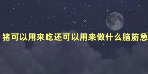 猪可以用来吃还可以用来做什么脑筋急转弯