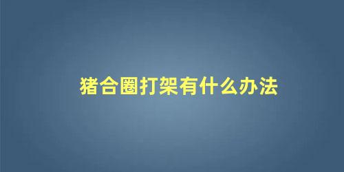 猪合圈打架有什么办法