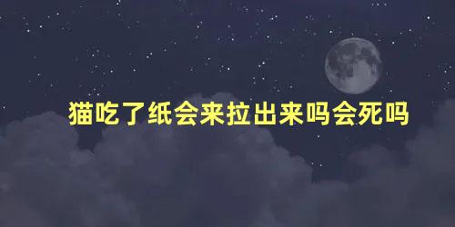 猫吃了纸会来拉出来吗会死吗