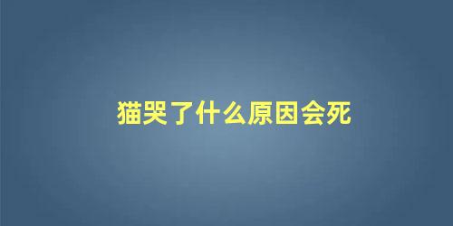 猫哭了什么原因会死