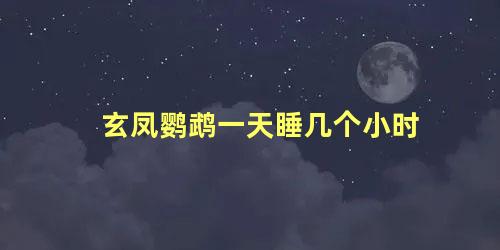 玄凤鹦鹉一天睡几个小时