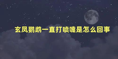 玄凤鹦鹉一直打喷嚏是怎么回事