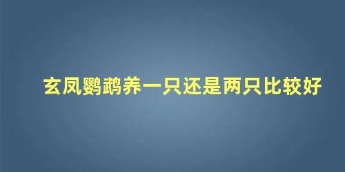 玄凤鹦鹉养一只还是两只比较好