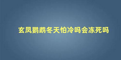 玄凤鹦鹉冬天怕冷吗会冻死吗