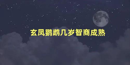 玄凤鹦鹉几岁智商成熟