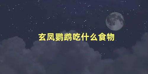 玄凤鹦鹉吃什么食物