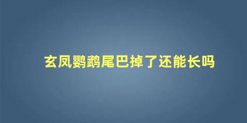 玄凤鹦鹉尾巴掉了还能长吗