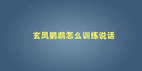 玄凤鹦鹉怎么训练说话