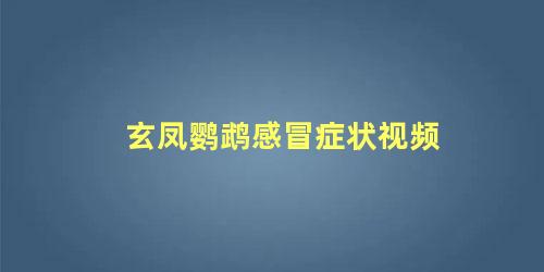 玄凤鹦鹉感冒症状视频