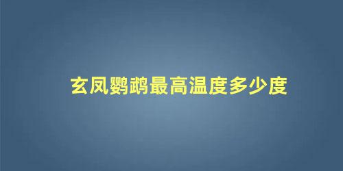 玄凤鹦鹉最高温度多少度