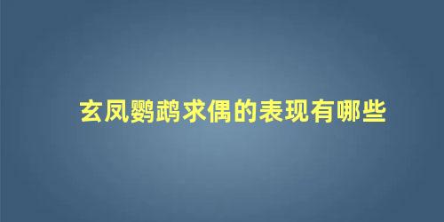 玄凤鹦鹉求偶的表现有哪些