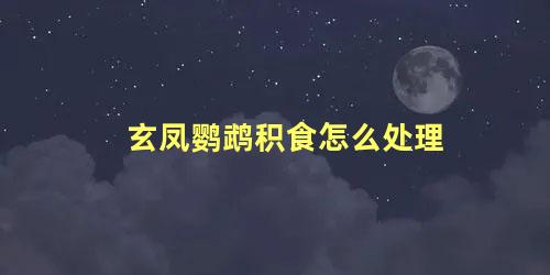 玄凤鹦鹉积食怎么处理