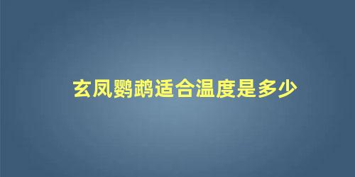 玄凤鹦鹉适合温度是多少