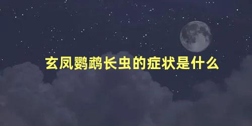 玄凤鹦鹉长虫的症状是什么