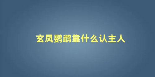 玄凤鹦鹉靠什么认主人