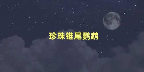 珍珠锥尾鹦鹉