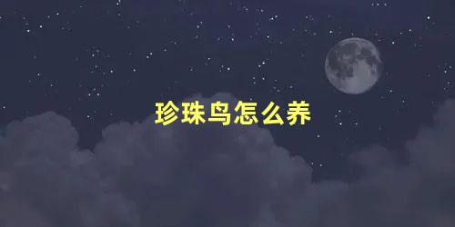 珍珠鸟怎么养