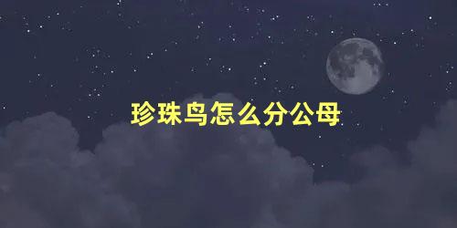 珍珠鸟怎么分公母