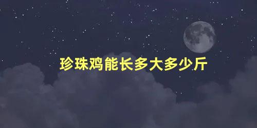 珍珠鸡能长多大多少斤