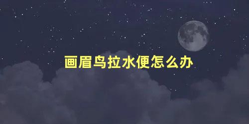 画眉鸟拉水便怎么办