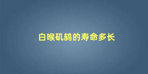 白喉矶鸫的寿命多长