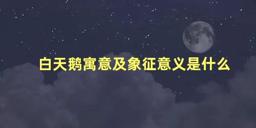 白天鹅寓意及象征意义是什么