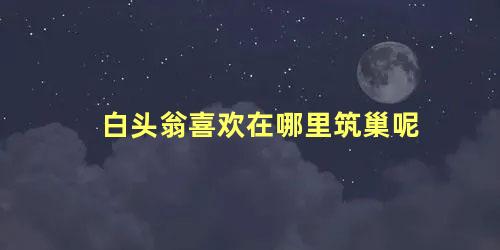 白头翁喜欢在哪里筑巢呢