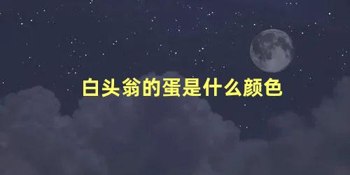 白头翁的蛋是什么颜色