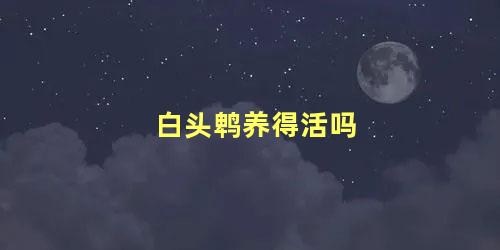 白头鹎养得活吗