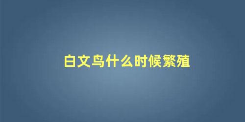 白文鸟什么时候繁殖