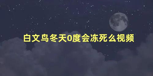 白文鸟冬天0度会冻死么视频