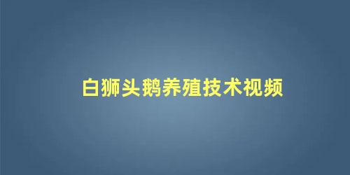 白狮头鹅养殖技术视频