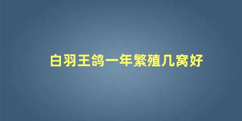 白羽王鸽一年繁殖几窝好