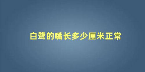 白鹭的嘴长多少厘米正常