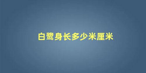 白鹭身长多少米厘米