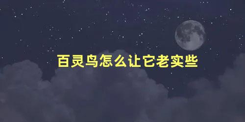 百灵鸟怎么让它老实些