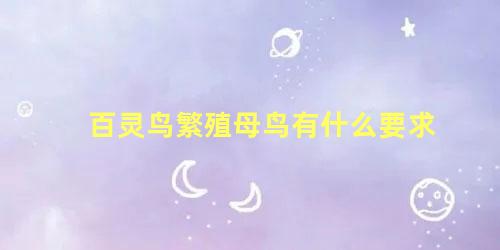 百灵鸟繁殖母鸟有什么要求