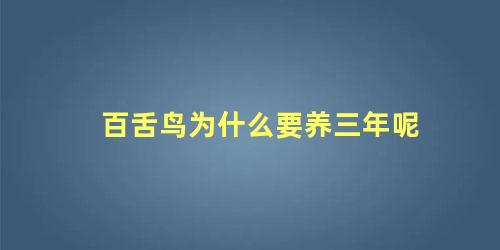 百舌鸟为什么要养三年呢