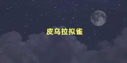 皮乌拉拟雀