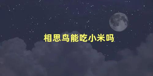 相思鸟能吃小米吗