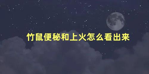 竹鼠便秘和上火怎么看出来