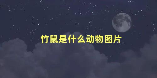 竹鼠是什么动物图片