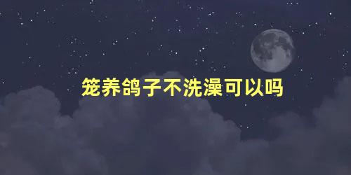 笼养鸽子不洗澡可以吗