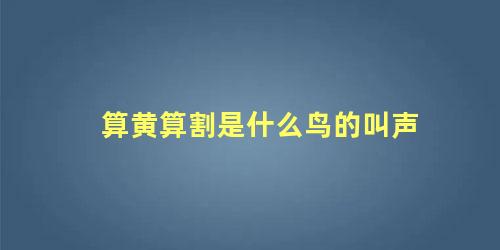 算黄算割是什么鸟的叫声