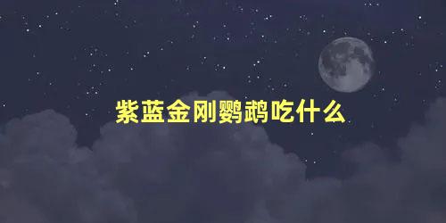 紫蓝金刚鹦鹉吃什么